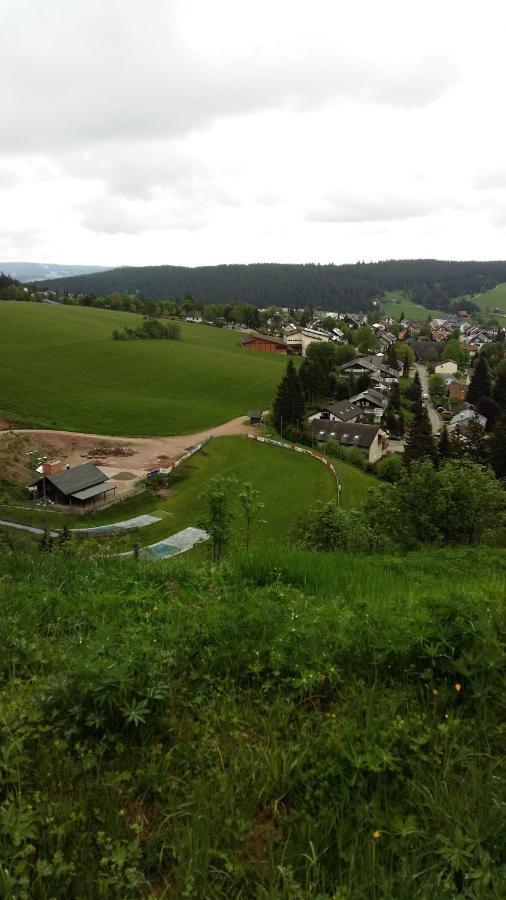 Schwarzwald Geht Immer Fewo 60 Qm Mit Grossem Suedbalkon, Wlan Und Magenta Tv Шенвальд Екстер'єр фото