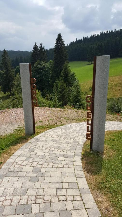Schwarzwald Geht Immer Fewo 60 Qm Mit Grossem Suedbalkon, Wlan Und Magenta Tv Шенвальд Екстер'єр фото