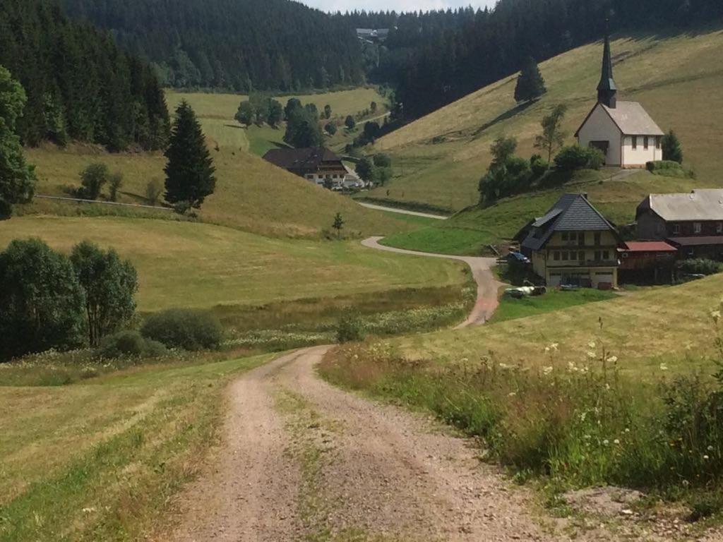 Schwarzwald Geht Immer Fewo 60 Qm Mit Grossem Suedbalkon, Wlan Und Magenta Tv Шенвальд Екстер'єр фото